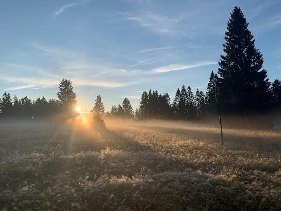 Feldberg, direkt an der Skipiste, urgemütliche Stube9 Feldberg  Exterior foto